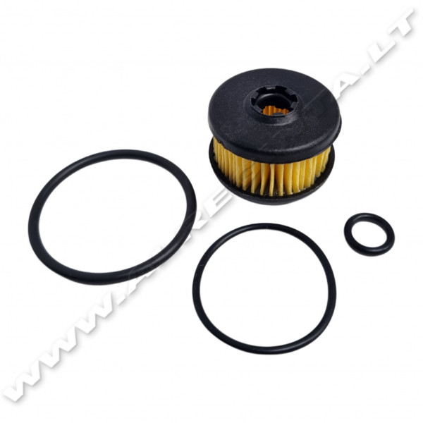 Filtro remontinis komplektas VALTEK/Zavoli/Emmegas/OMB                                              