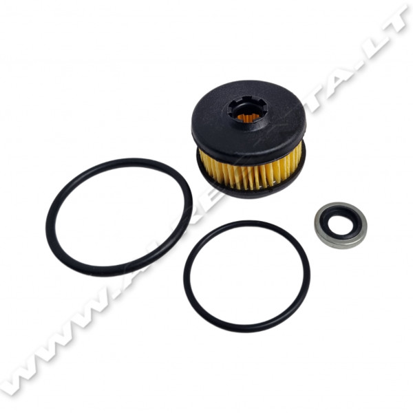 Filtro remontinis komplektas VALTEK AC STAG R02 / E01                                               